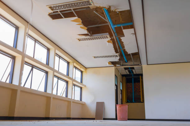 Best Carpet water damage restoration  in Jefferson, MD