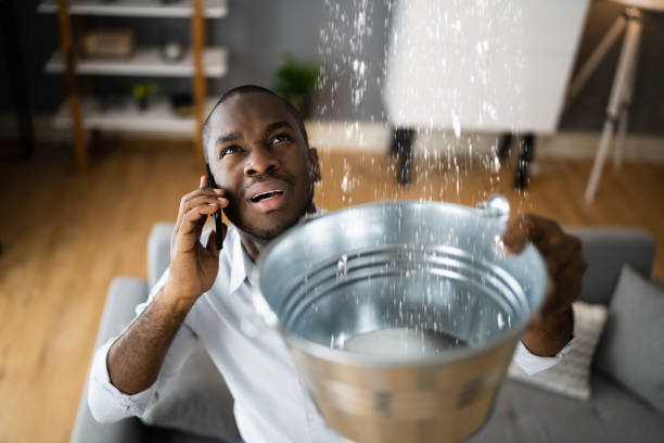 Best Water damage restoration near me  in Jefferson, MD
