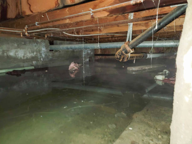 Best Emergency water extraction  in Jefferson, MD