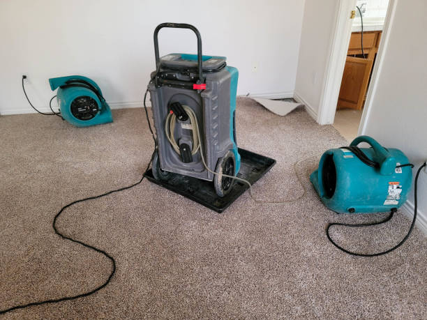 Best 24-hour water damage restoration  in Jefferson, MD