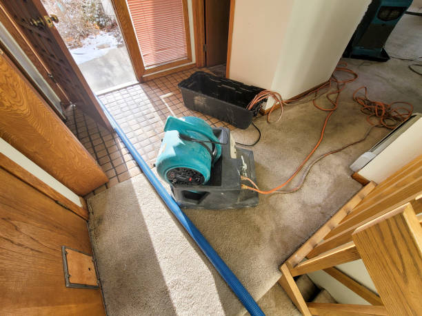 Best 24/7 water damage repair  in Jefferson, MD