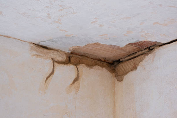 Best Water damage cleanup near me  in Jefferson, MD