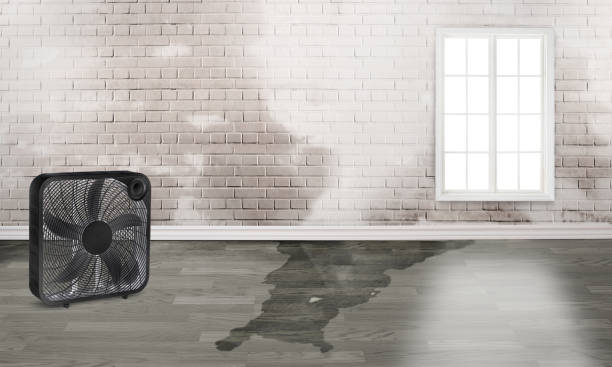 Water damage restoration experts in Jefferson, MD