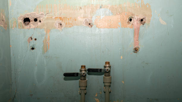 Best Water damage restoration near me  in Jefferson, MD