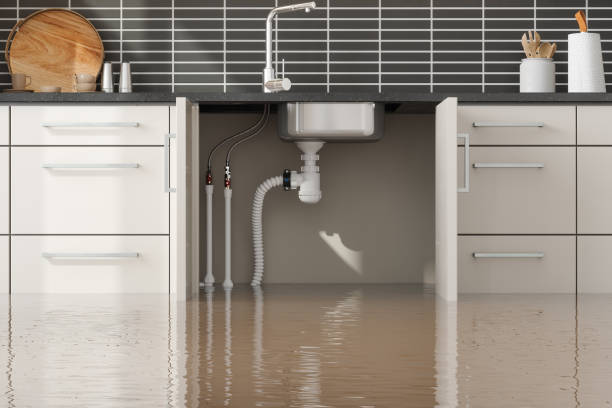 Best Ceiling water damage repair  in Jefferson, MD