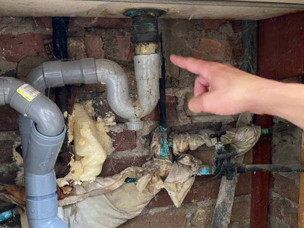 Best Basement water damage restoration  in Jefferson, MD