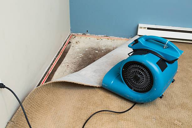 Best Flooded house restoration  in Jefferson, MD